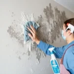 Como tirar mofo da parede sem danificar a pintura: dicas práticas