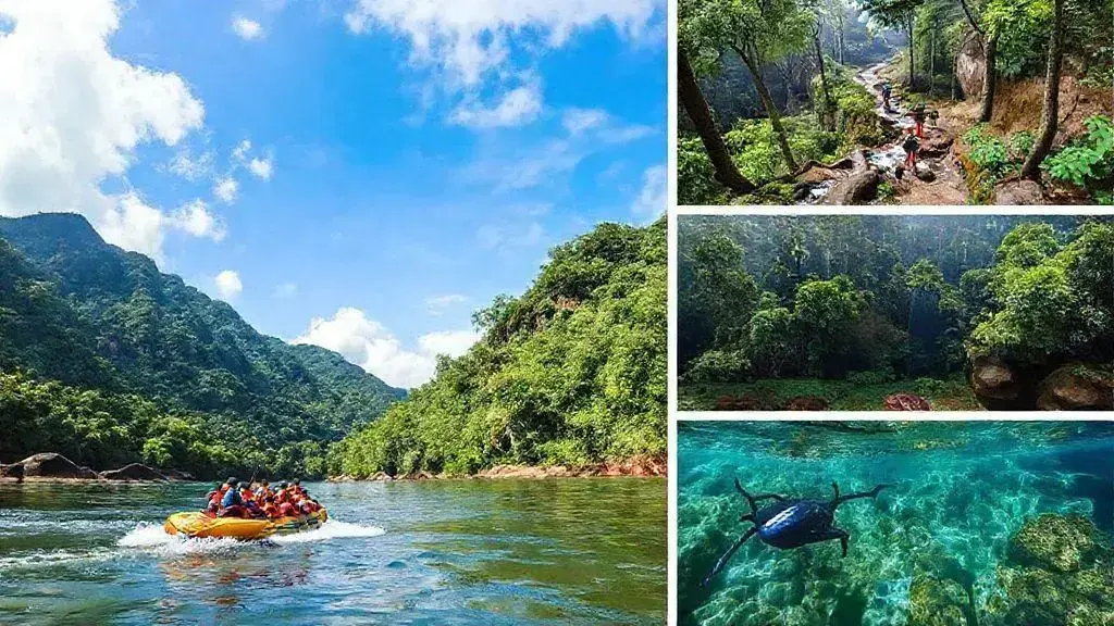 Atividades emocionantes para os amantes da natureza