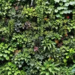 Dicas para jardim vertical: transforme seu espaço em um oásis