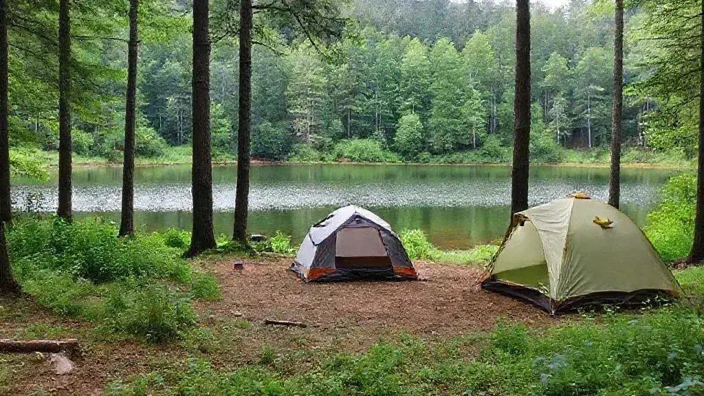 Camping na natureza: descubra dicas valiosas para uma experiência única