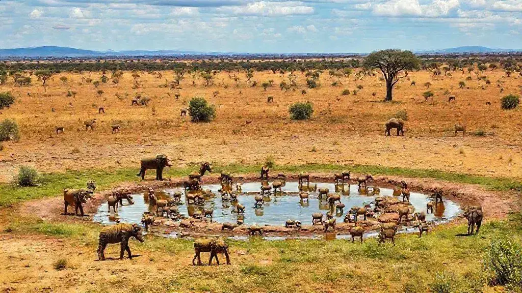 As melhores épocas para um safari na África