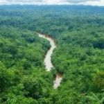 Viagem ecoturismo amazônia: desbrave um paraíso natural preservado