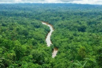 Viagem ecoturismo amazônia: desbrave um paraíso natural preservado