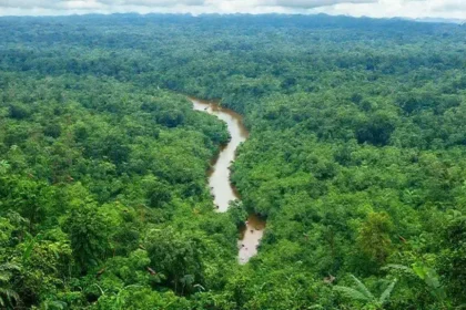 Viagem ecoturismo amazônia: desbrave um paraíso natural preservado