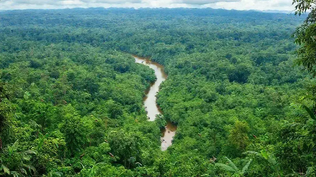 Viagem ecoturismo amazônia: desbrave um paraíso natural preservado